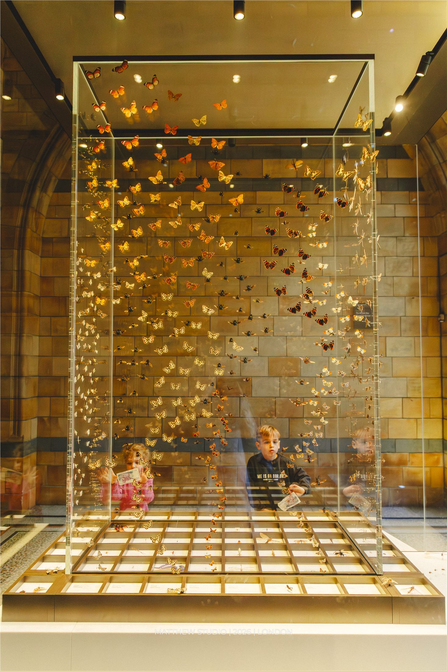 Natural History Museum